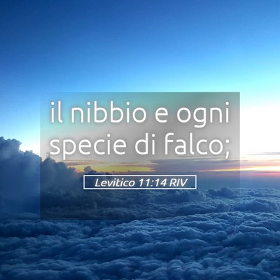 Picture 05 - Levitico 11:14 RIV - il nibbio e ogni specie di - Bible Verse Picture