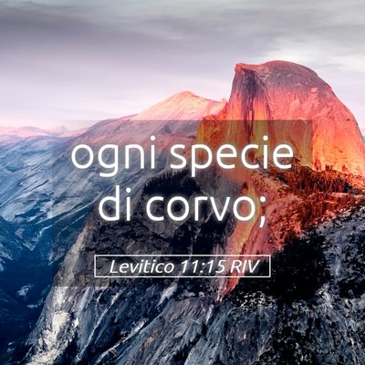Picture 05 - Levitico 11:15 RIV - ogni specie di - Bible Verse Picture