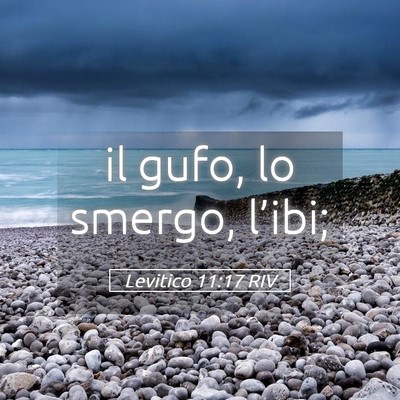 Picture 05 - Levitico 11:17 RIV - il gufo, lo smergo, - Bible Verse Picture