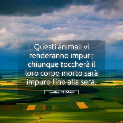 Picture 05 - Levitico 11:24 RIV - Questi animali vi renderanno impuri; chiunque - Bible Verse Picture