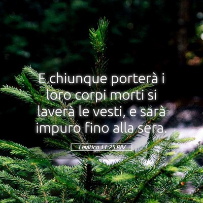 Picture 05 - Levitico 11:25 RIV - E chiunque porterà i loro corpi morti si laverà - Bible Verse Picture