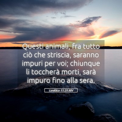 Picture 05 - Levitico 11:31 RIV - Questi animali, fra tutto ciò che striscia, - Bible Verse Picture