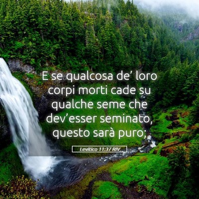 Picture 05 - Levitico 11:37 RIV - E se qualcosa de’ loro corpi morti cade su - Bible Verse Picture
