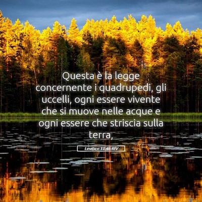 Picture 05 - Levitico 11:46 RIV - Questa è la legge concernente i quadrupedi, gli - Bible Verse Picture