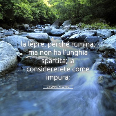 Picture 05 - Levitico 11:6 RIV - la lepre, perché rumina, ma non ha l’unghia - Bible Verse Picture