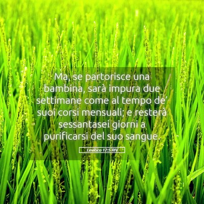Picture 05 - Levitico 12:5 RIV - Ma, se partorisce una bambina, sarà impura due - Bible Verse Picture