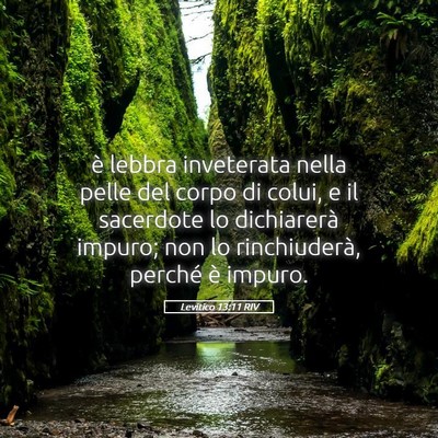 Picture 05 - Levitico 13:11 RIV - è lebbra inveterata nella pelle del corpo di - Bible Verse Picture