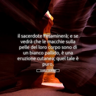 Picture 05 - Levitico 13:39 RIV - il sacerdote l’esaminerà; e se vedrà che le - Bible Verse Picture