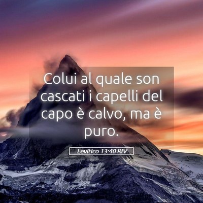Picture 05 - Levitico 13:40 RIV - Colui al quale son cascati i capelli del capo è - Bible Verse Picture