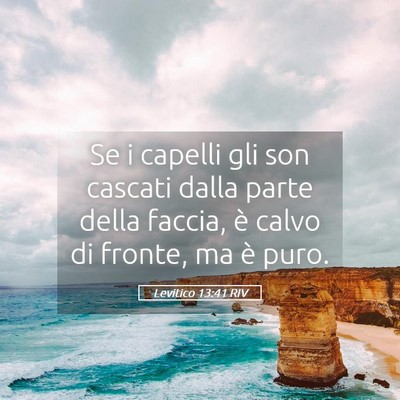Picture 05 - Levitico 13:41 RIV - Se i capelli gli son cascati dalla parte della - Bible Verse Picture