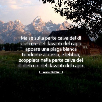 Picture 05 - Levitico 13:42 RIV - Ma se sulla parte calva del di dietro o del - Bible Verse Picture