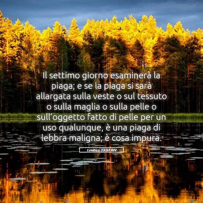 Picture 05 - Levitico 13:51 RIV - Il settimo giorno esaminerà la piaga; e se la - Bible Verse Picture