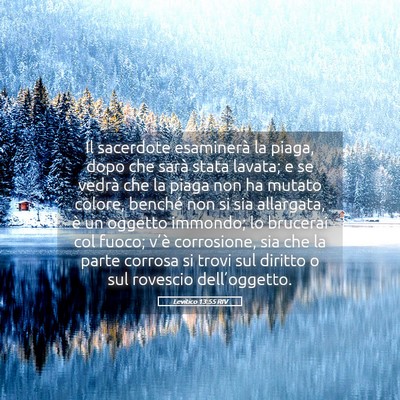 Picture 05 - Levitico 13:55 RIV - Il sacerdote esaminerà la piaga, dopo che sarà - Bible Verse Picture