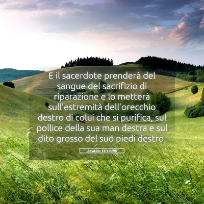 Picture 05 - Levitico 14:14 RIV - E il sacerdote prenderà del sangue del - Bible Verse Picture