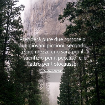 Picture 05 - Levitico 14:22 RIV - Prenderà pure due tortore o due giovani - Bible Verse Picture