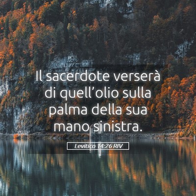 Picture 05 - Levitico 14:26 RIV - Il sacerdote verserà di quell’olio sulla palma - Bible Verse Picture