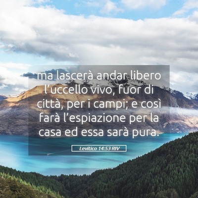 Picture 05 - Levitico 14:53 RIV - ma lascerà andar libero l’uccello vivo, fuor - Bible Verse Picture