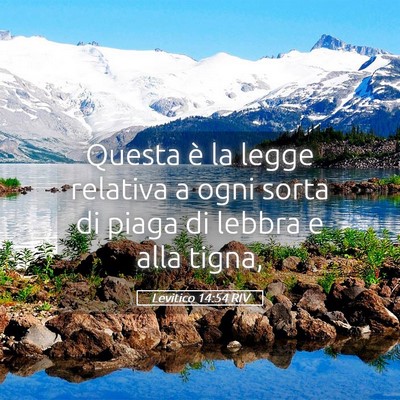 Picture 05 - Levitico 14:54 RIV - Questa è la legge relativa a ogni sorta di piaga - Bible Verse Picture