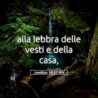 Picture 05 - Levitico 14:55 RIV - alla lebbra delle vesti e della - Bible Verse Picture