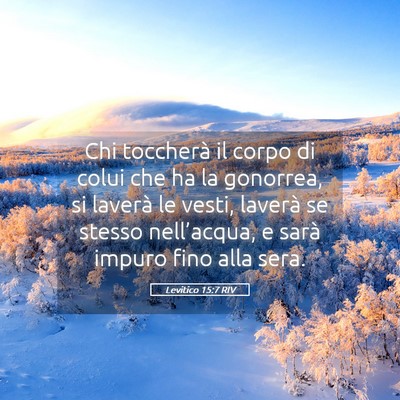Picture 05 - Levitico 15:7 RIV - Chi toccherà il corpo di colui che ha la - Bible Verse Picture