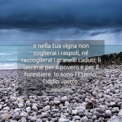 Picture 05 - Levitico 19:10 RIV - e nella tua vigna non coglierai i raspoli, né - Bible Verse Picture