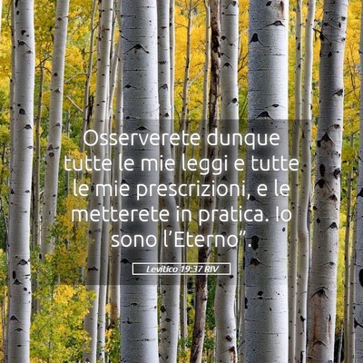 Picture 05 - Levitico 19:37 RIV - Osserverete dunque tutte le mie leggi e tutte le - Bible Verse Picture