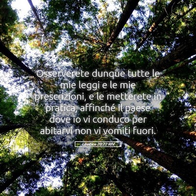 Picture 05 - Levitico 20:22 RIV - Osserverete dunque tutte le mie leggi e le mie - Bible Verse Picture
