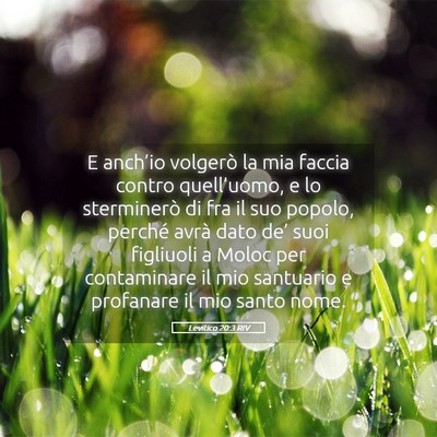 Picture 05 - Levitico 20:3 RIV - E anch’io volgerò la mia faccia contro - Bible Verse Picture
