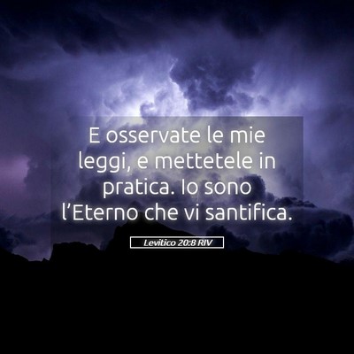 Picture 05 - Levitico 20:8 RIV - E osservate le mie leggi, e mettetele in pratica. - Bible Verse Picture