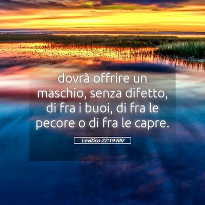 Picture 05 - Levitico 22:19 RIV - dovrà offrire un maschio, senza difetto, di fra - Bible Verse Picture