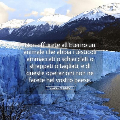 Picture 05 - Levitico 22:24 RIV - Non offrirete all’Eterno un animale che abbia i - Bible Verse Picture
