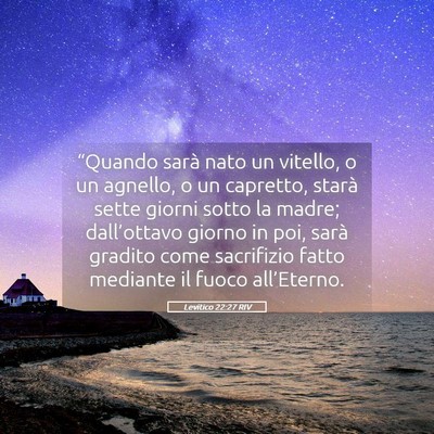Picture 05 - Levitico 22:27 RIV - “Quando sarà nato un vitello, o un agnello, o - Bible Verse Picture