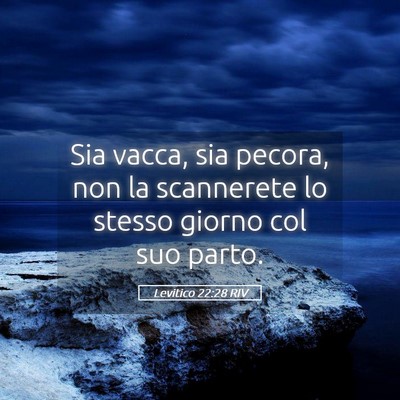 Picture 05 - Levitico 22:28 RIV - Sia vacca, sia pecora, non la scannerete lo - Bible Verse Picture