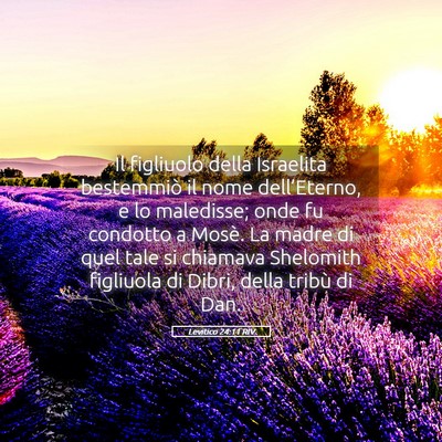 Picture 05 - Levitico 24:11 RIV - Il figliuolo della Israelita bestemmiò il nome - Bible Verse Picture