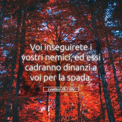Picture 05 - Levitico 26:7 RIV - Voi inseguirete i vostri nemici, ed essi cadranno - Bible Verse Picture