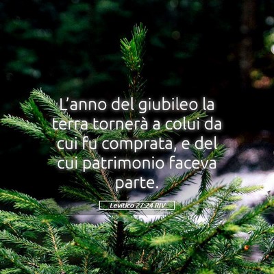Picture 05 - Levitico 27:24 RIV - L’anno del giubileo la terra tornerà a colui - Bible Verse Picture