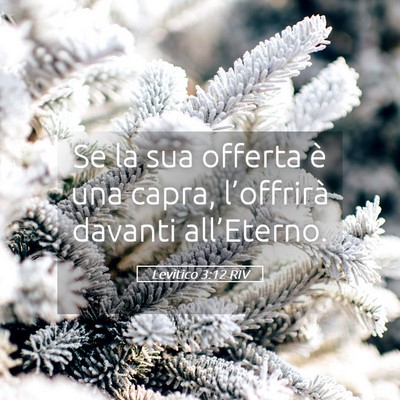 Picture 05 - Levitico 3:12 RIV - Se la sua offerta è una capra, l’offrirà - Bible Verse Picture
