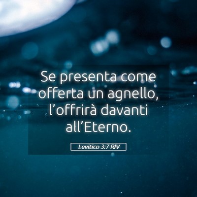 Picture 05 - Levitico 3:7 RIV - Se presenta come offerta un agnello, l’offrirà - Bible Verse Picture