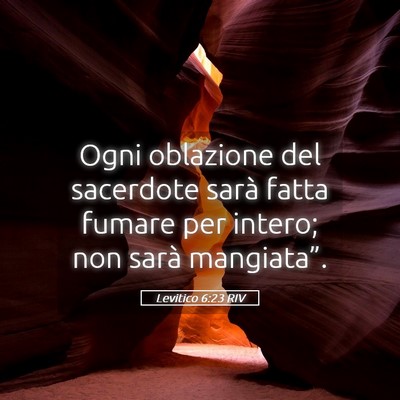 Picture 05 - Levitico 6:23 RIV - Ogni oblazione del sacerdote sarà fatta fumare - Bible Verse Picture