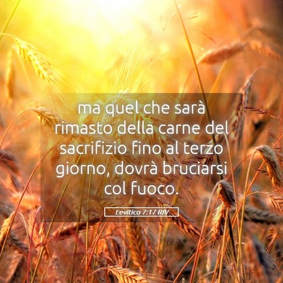 Picture 05 - Levitico 7:17 RIV - ma quel che sarà rimasto della carne del - Bible Verse Picture