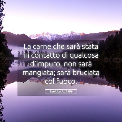 Picture 05 - Levitico 7:19 RIV - La carne che sarà stata in contatto di qualcosa - Bible Verse Picture