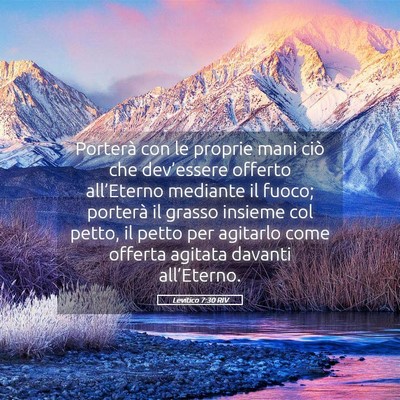Picture 05 - Levitico 7:30 RIV - Porterà con le proprie mani ciò che - Bible Verse Picture