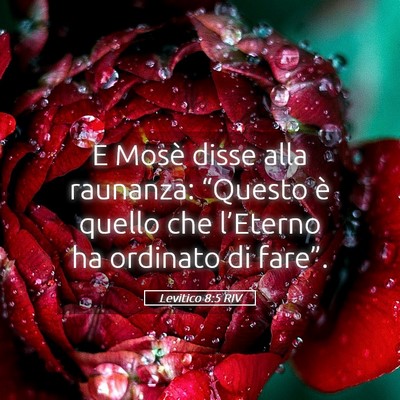 Picture 05 - Levitico 8:5 RIV - E Mosè disse alla raunanza: “Questo è quello - Bible Verse Picture