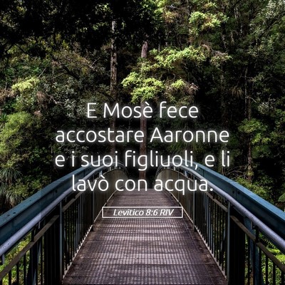 Picture 05 - Levitico 8:6 RIV - E Mosè fece accostare Aaronne e i suoi - Bible Verse Picture