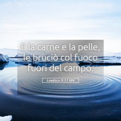 Picture 05 - Levitico 9:11 RIV - E la carne e la pelle, le bruciò col fuoco fuori - Bible Verse Picture