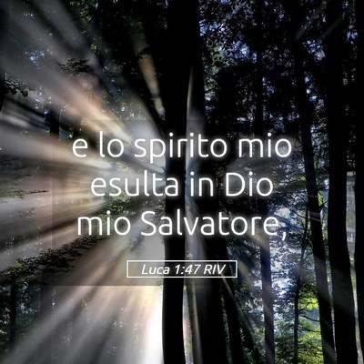 Picture 05 - Luca 1:47 RIV - e lo spirito mio esulta in Dio mio - Bible Verse Picture
