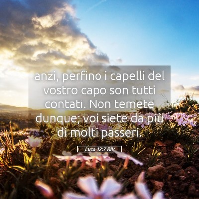 Picture 05 - Luca 12:7 RIV - anzi, perfino i capelli del vostro capo son tutti - Bible Verse Picture