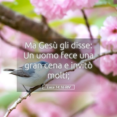 Picture 05 - Luca 14:16 RIV - Ma Gesù gli disse: Un uomo fece una gran cena e - Bible Verse Picture
