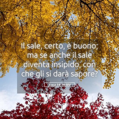 Picture 05 - Luca 14:34 RIV - Il sale, certo, è buono; ma se anche il sale - Bible Verse Picture
