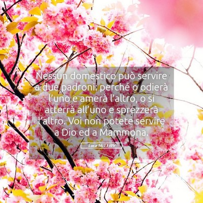 Picture 05 - Luca 16:13 RIV - Nessun domestico può servire a due padroni: - Bible Verse Picture